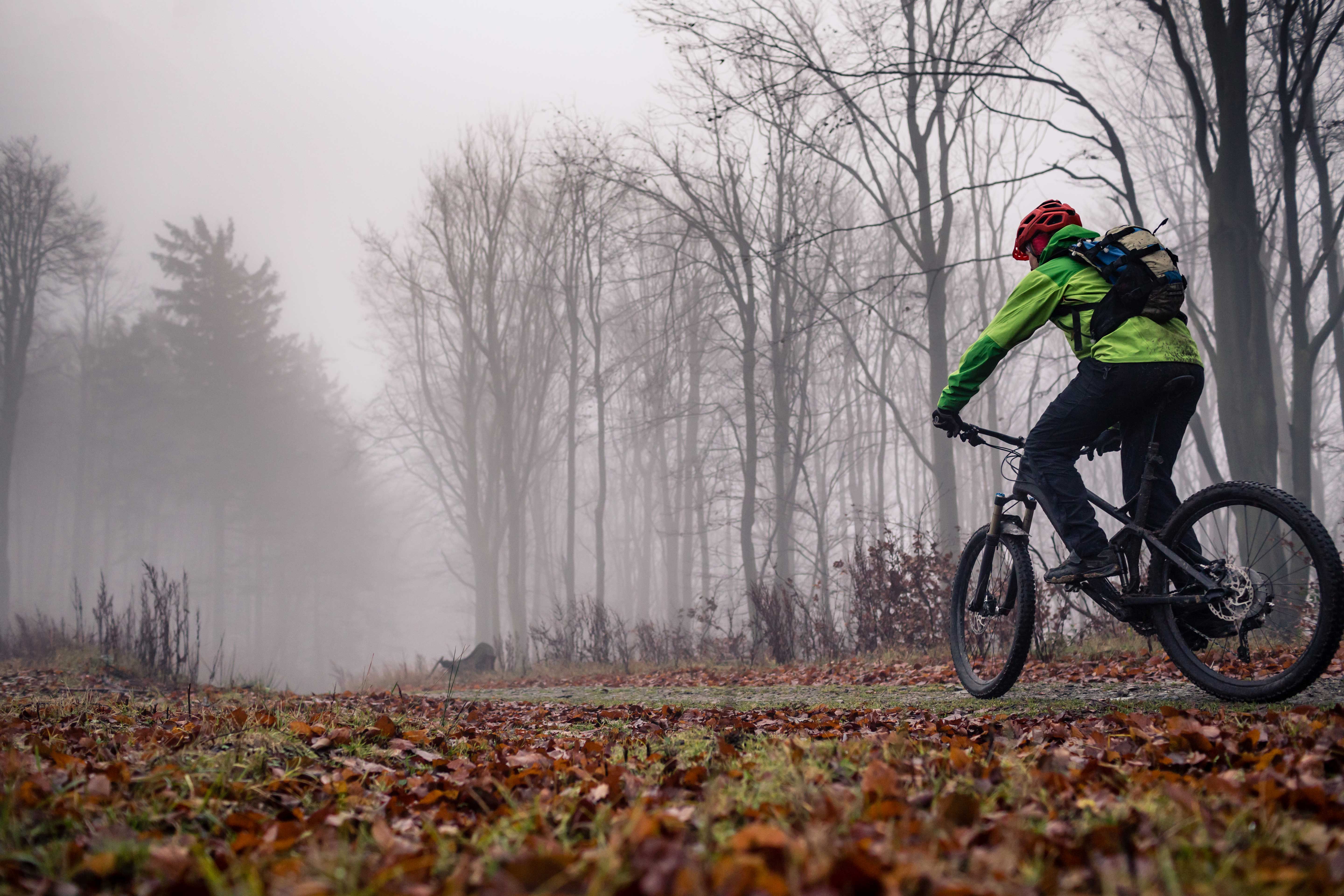 Cyclist on woods trail